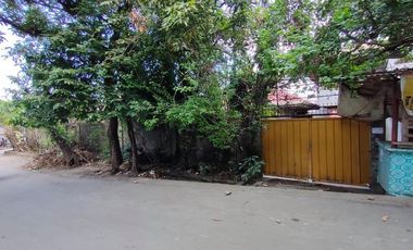 5 bedrooms House and Lot with Swimming pool for sale in Los Banos