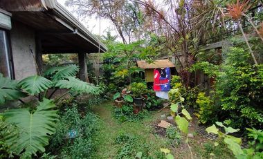 5 bedrooms House and Lot with Swimming pool for sale in Los Banos