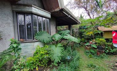 5 bedrooms House and Lot with Swimming pool for sale in Los Banos