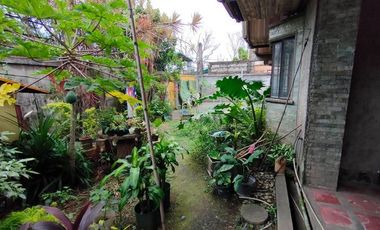 5 bedrooms House and Lot with Swimming pool for sale in Los Banos