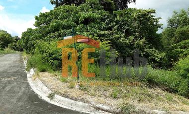 988 square meters Vacant Residential Lot for Sale at Forest Hill Antipolo