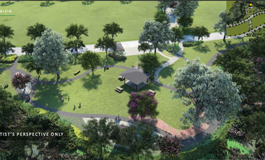 CALEIA-RESIDENTIAL LOT IN VERMOSA CAVITE