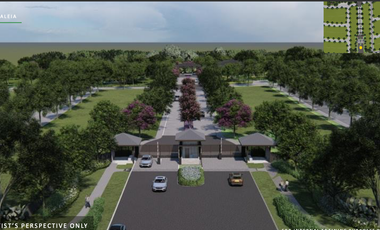 CALEIA-VERMOSA RESIDENTIAL LOT