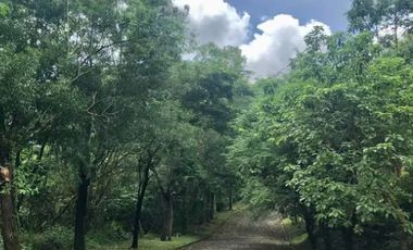 Fairmount Hills Corner Lot 918 sqm for sale in Dela Paz, Antipolo, Rizal