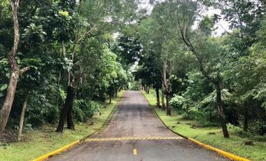 Fairmount Hills Corner Lot 918 sqm for sale in Dela Paz, Antipolo, Rizal