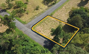 Fairmount Hills Corner Lot 918 sqm for sale in Dela Paz, Antipolo, Rizal