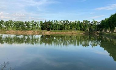 2.2 Has. Agricultural Lot With Fishpond Sta Ana Pampanga