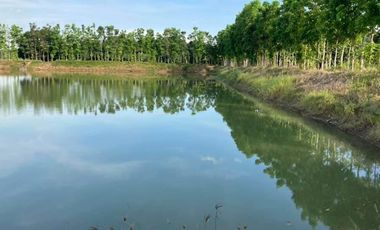 2.2 Has. Agricultural Lot With Fishpond Sta Ana Pampanga