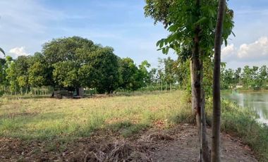 2.2 Has. Agricultural Lot With Fishpond Sta Ana Pampanga