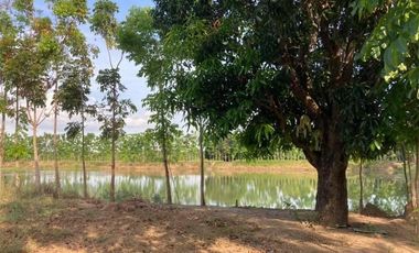 2.2 Has. Agricultural Lot With Fishpond Sta Ana Pampanga