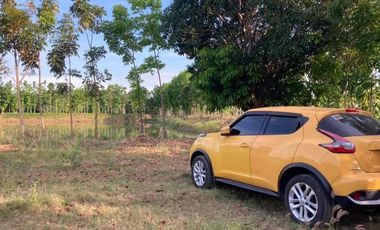 2.2 Has. Agricultural Lot With Fishpond Sta Ana Pampanga