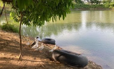 2.2 Has. Agricultural Lot With Fishpond Sta Ana Pampanga