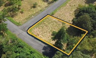 Fairmount Hills 737 sqm Corner Lot For Sale in Dela Paz, Antipolo