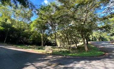Fairmount Hills 737 sqm Corner Lot For Sale in Dela Paz, Antipolo