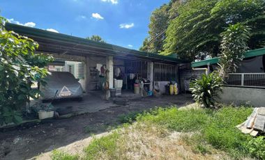 600 sqm Property For Sale Prime Location Tamarind St Clarkview Subd Angeles City