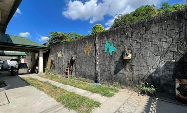 600 sqm Property For Sale Prime Location Tamarind St Clarkview Subd Angeles City