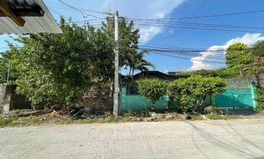 600 sqm Property For Sale Prime Location Tamarind St Clarkview Subd Angeles City