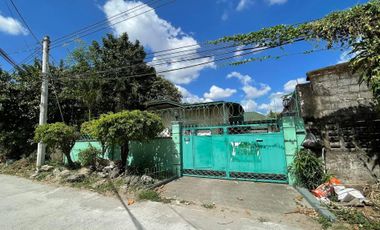 600 sqm Property For Sale Prime Location Tamarind St Clarkview Subd Angeles City