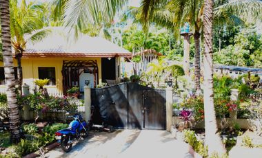 Big land area with house; landscaped grounds; close to beach; development ready