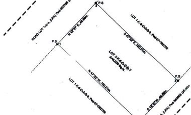 ForSale/Rent 5000sqm lot in MandaueCebu near Parkmall,CDU,Chung Hua, for Hotel/Condo