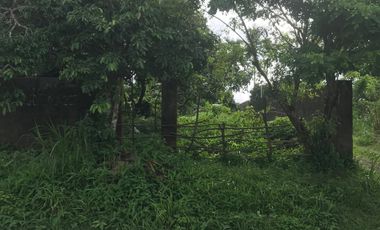 Perfect Residential Lot for Sale to Build Your House In  Tranquil Tagaytay City