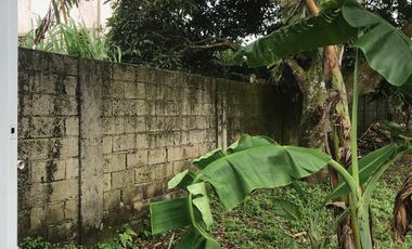 Perfect Residential Lot for Sale to Build Your House In  Tranquil Tagaytay City