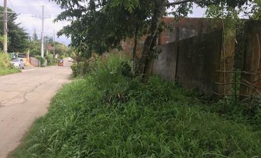 Perfect Residential Lot for Sale to Build Your House In  Tranquil Tagaytay City