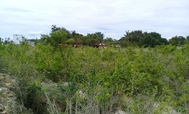 12,967 sq.m. Commercial Lot For Sale, along Soong-Mactan main road @ P35k/sq.m.