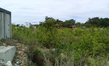 12,967 sq.m. Commercial Lot For Sale, along Soong-Mactan main road @ P35k/sq.m.