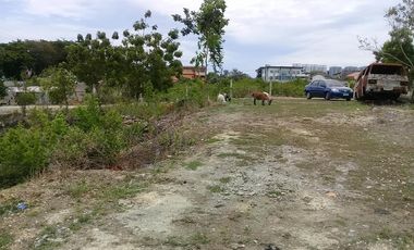 12,967 sq.m. Commercial Lot For Sale, along Soong-Mactan main road @ P35k/sq.m.