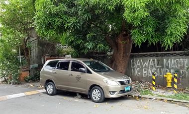 288 sqm Lot For Sale in Doña Filomena Subdivision in West Crame, San Juan City