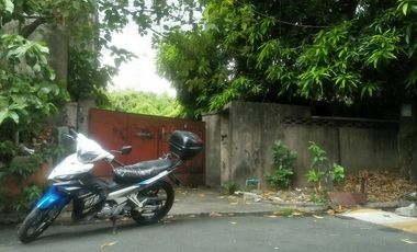 288 sqm Lot For Sale in Doña Filomena Subdivision in West Crame, San Juan City