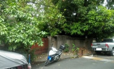 288 sqm Lot For Sale in Doña Filomena Subdivision in West Crame, San Juan City