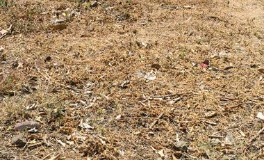 Residential Plot for sale in Metro Manila, Muntinlupa City