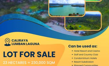Caliraya Laguna Lot FOR SALE