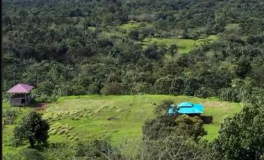 Caliraya Laguna Lot FOR SALE