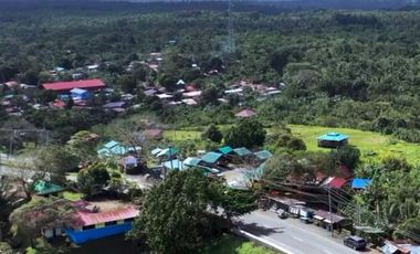 Caliraya Laguna Lot FOR SALE
