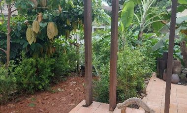 Cottonwood Heights Antipolo House & Lot For Rent in Rizal