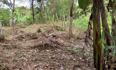 500 sqm. Residential Lot for Sale in Sermon, Sibalom, Antique