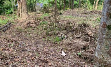 500 sqm. Residential Lot for Sale in Sermon, Sibalom, Antique