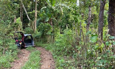 500 sqm. Residential Lot for Sale in Sermon, Sibalom, Antique