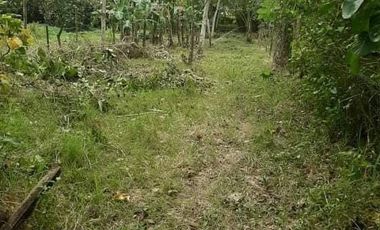 500 sqm. Residential Lot for Sale in Sermon, Sibalom, Antique