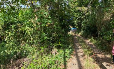 500 sqm. Residential Lot for Sale in Sermon, Sibalom, Antique