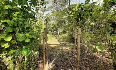 500 sqm. Residential Lot for Sale in Sermon, Sibalom, Antique