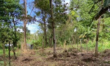 500 sqm. Residential Lot for Sale in Sermon, Sibalom, Antique