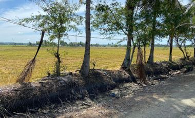 200 sqm. Residential/Farm Lot for Sale in Odiong, Sibalom, Antique