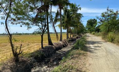 200 sqm. Residential/Farm Lot for Sale in Odiong, Sibalom, Antique