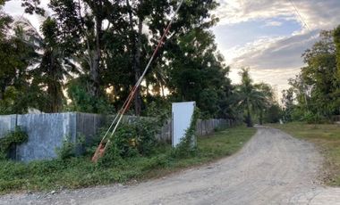 200 sqm. Residential/Farm Lot for Sale in Odiong, Sibalom, Antique