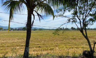 200 sqm. Residential/Farm Lot for Sale in Odiong, Sibalom, Antique