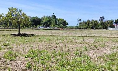 200 sqm Residential Lot for Sale Located in Patnongon, Antique